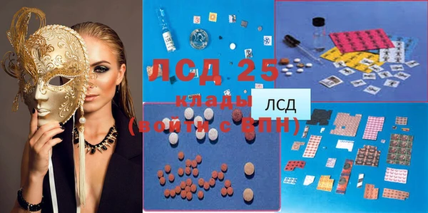 хмурый Алзамай