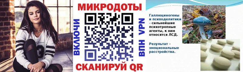 как найти   Почеп  Псилоцибиновые грибы Cubensis 